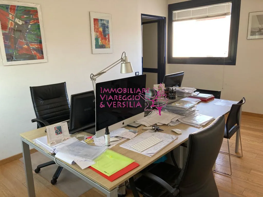 Immagine per Capannone Industriale in vendita a Viareggio via Coppino 100