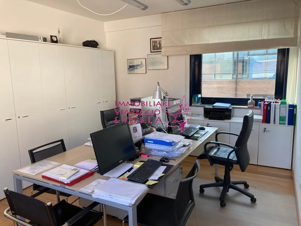 Immagine per Capannone Industriale in vendita a Viareggio via Coppino 100