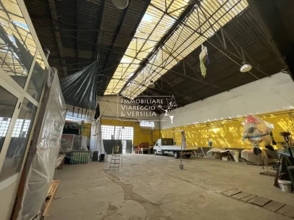 Magazzino via Di Montramito, Viareggio