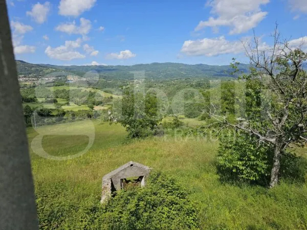Terreno Agricolo via Contrada Tavernito 23, Laino Borgo