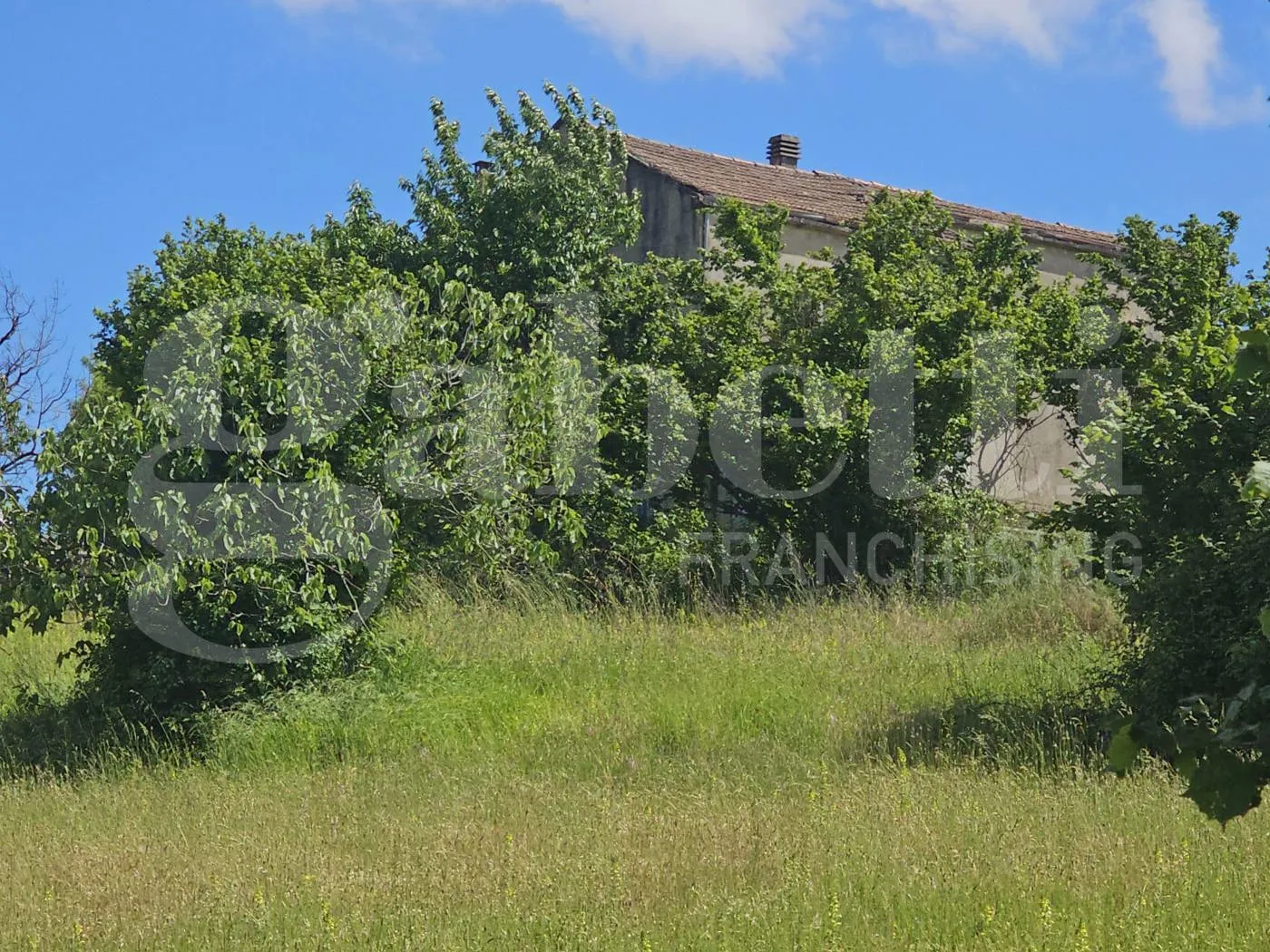 Immagine per Terreno Agricolo in vendita a Laino Borgo via Contrada Tavernito 23