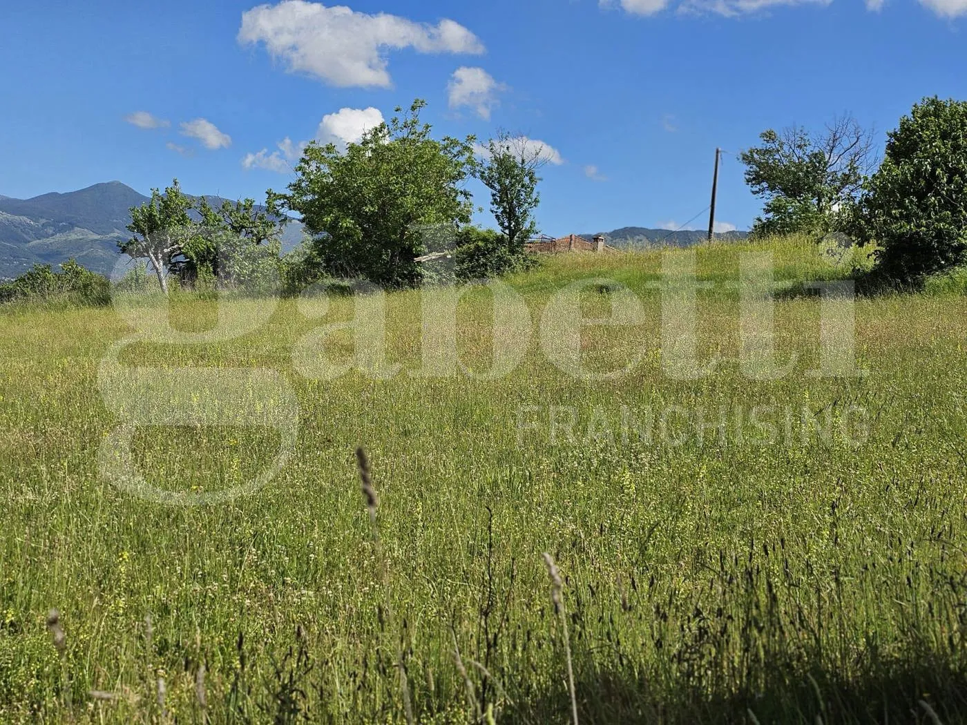 Immagine per Terreno Agricolo in vendita a Laino Borgo via Contrada Tavernito 23