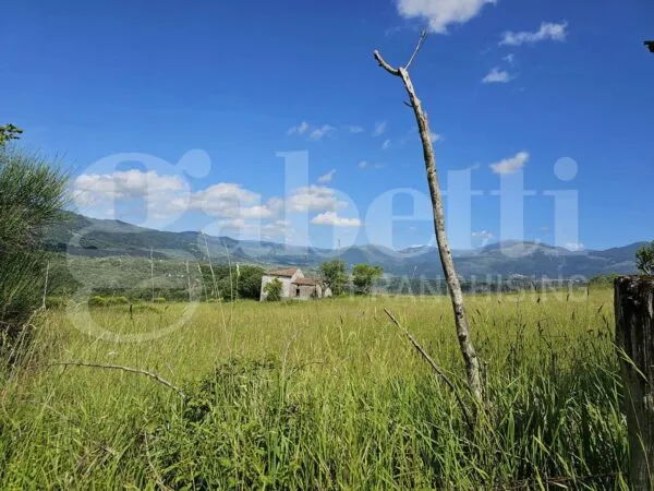 Terreno Agricolo via Contrada Tavernito 23, Laino Borgo