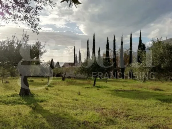 Terreno Agricolo Praia A Mare