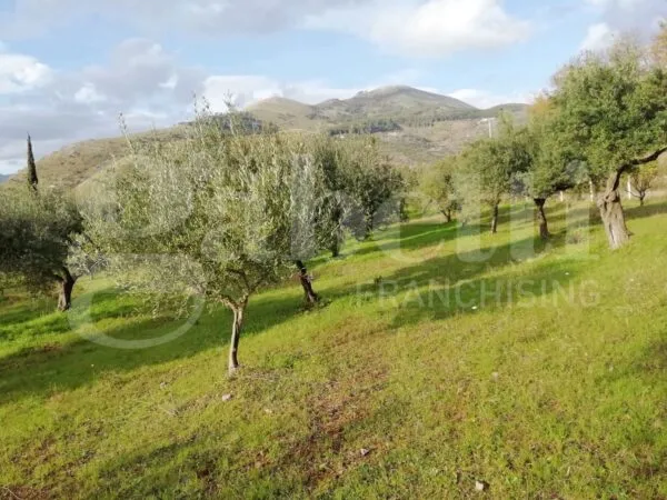Terreno Agricolo Praia A Mare