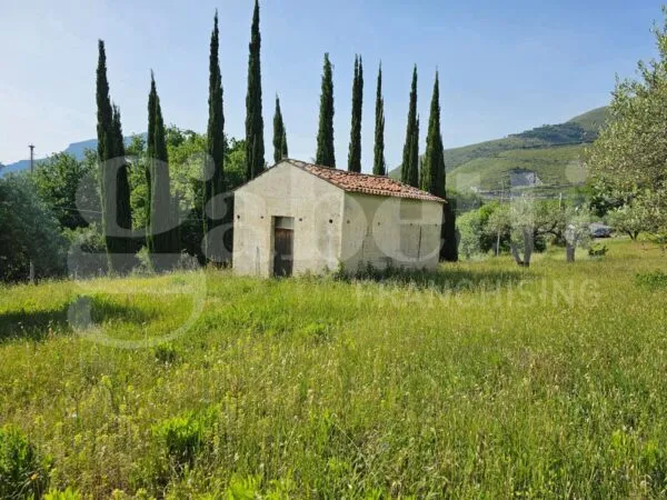 Terreno Agricolo Praia A Mare