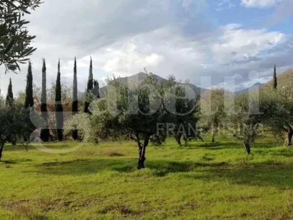 Terreno Agricolo Praia A Mare