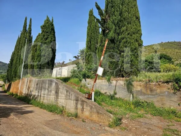 Terreno Agricolo Praia A Mare