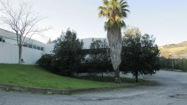 Immagine per Capannone in affitto a San Benedetto del Tronto via Leonardo Da Vinci