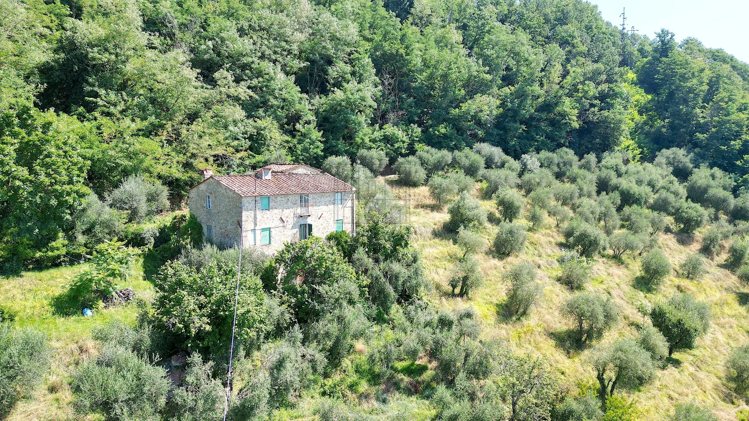 Immagine per Casale in vendita a Lucca via Tofori
