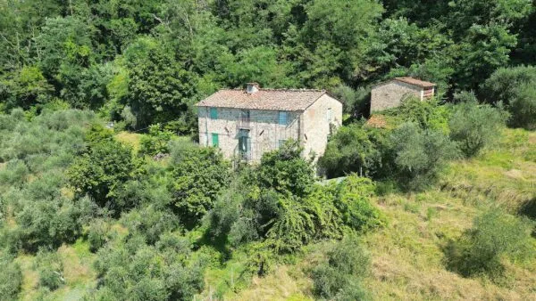 Casale via Tofori, Lucca