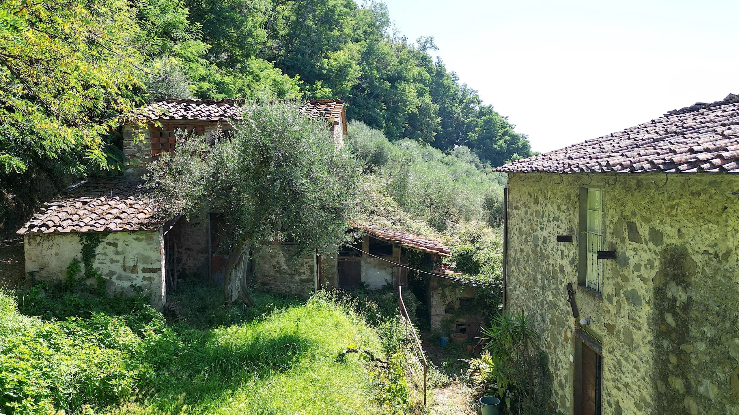Immagine per Casale in vendita a Lucca via Tofori