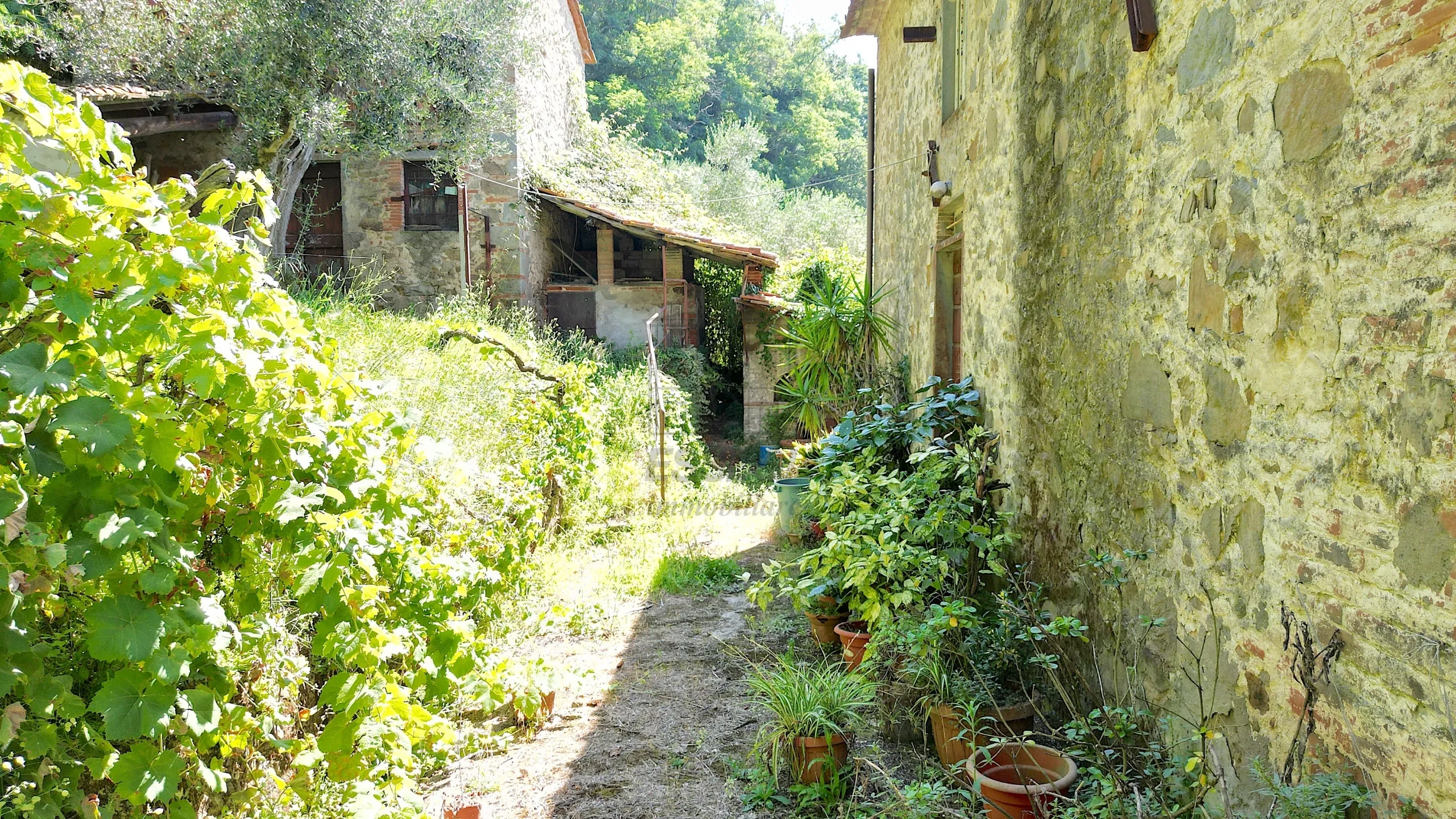 Immagine per Casale in vendita a Lucca via Tofori