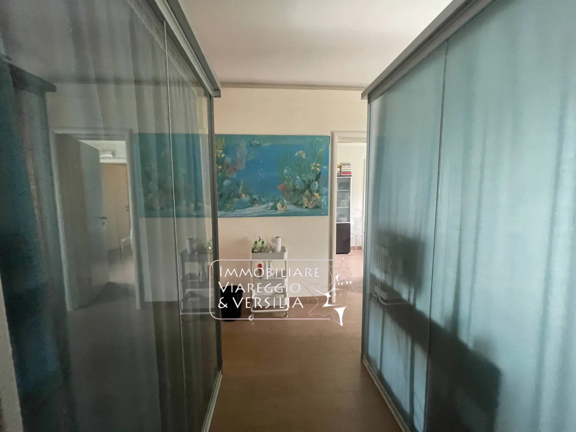 Immagine per Capannone Industriale in vendita a Viareggio Via S. Francesco 70