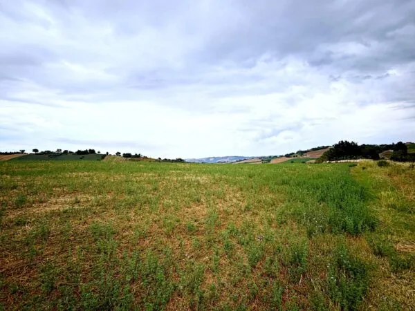 Terreno Agricolo via Contrada Montefiore, Recanati