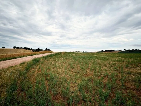 Terreno Agricolo via Contrada Montefiore, Recanati