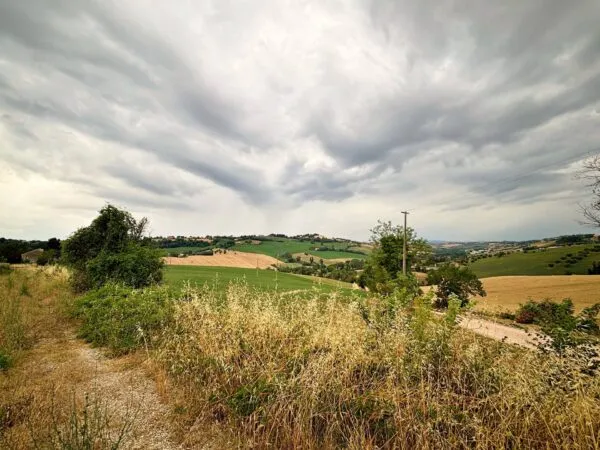 Terreno Agricolo via Contrada Montefiore, Recanati