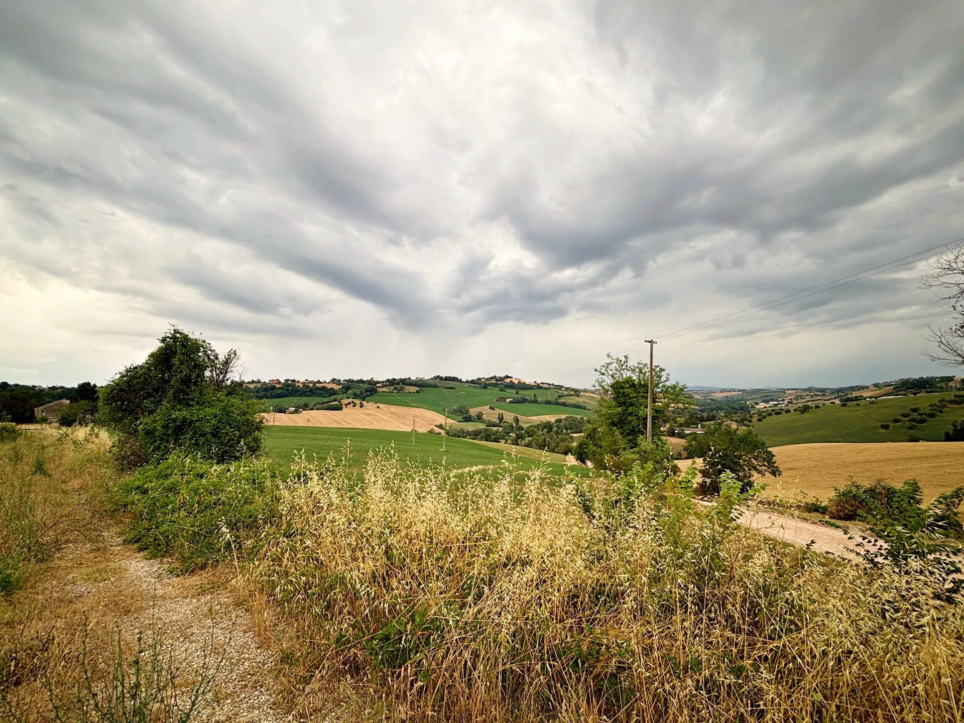 Immagine per Terreno Agricolo in vendita a Recanati contrada montefiore