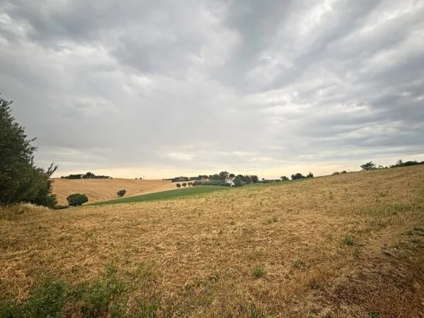Immagine per Rustico/Casale in vendita a Recanati contrada montefiore