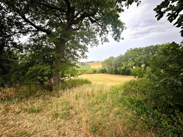 Rustico/Casale via Contrada Montefiore, Recanati