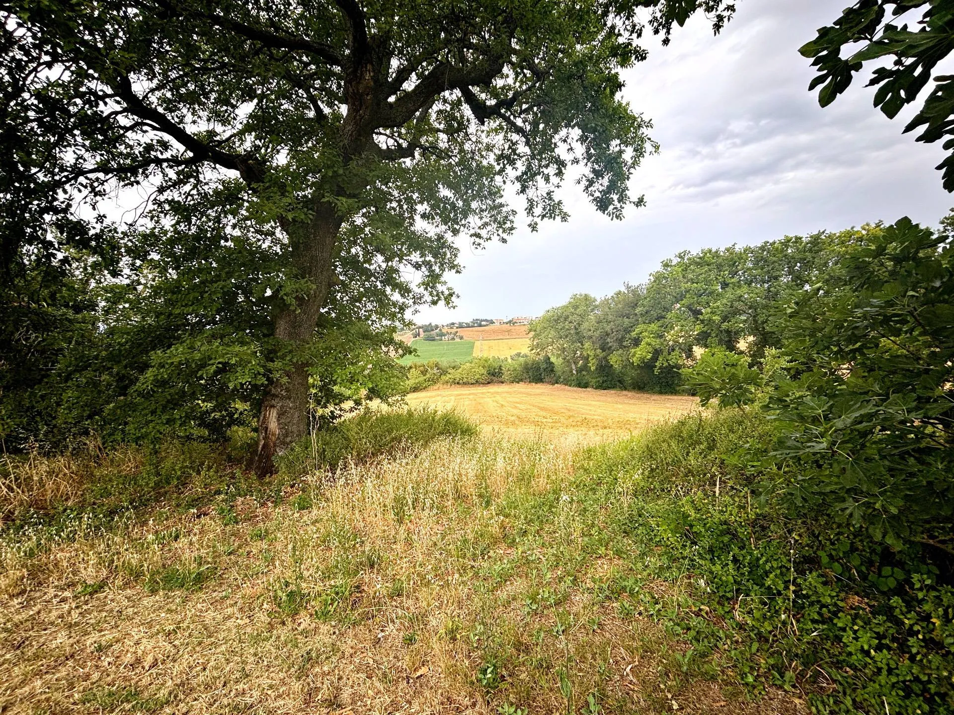 Immagine per Rustico/Casale in vendita a Recanati contrada montefiore