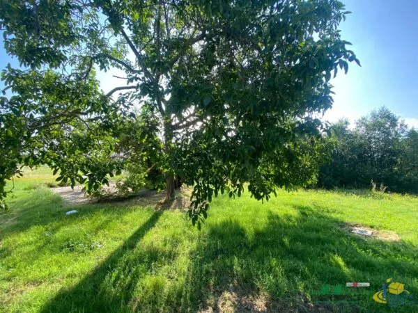 Porzione Di Casa strada Cornaccina 48, Medesano