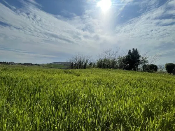 Casale via Frazione Poggio, Ancona