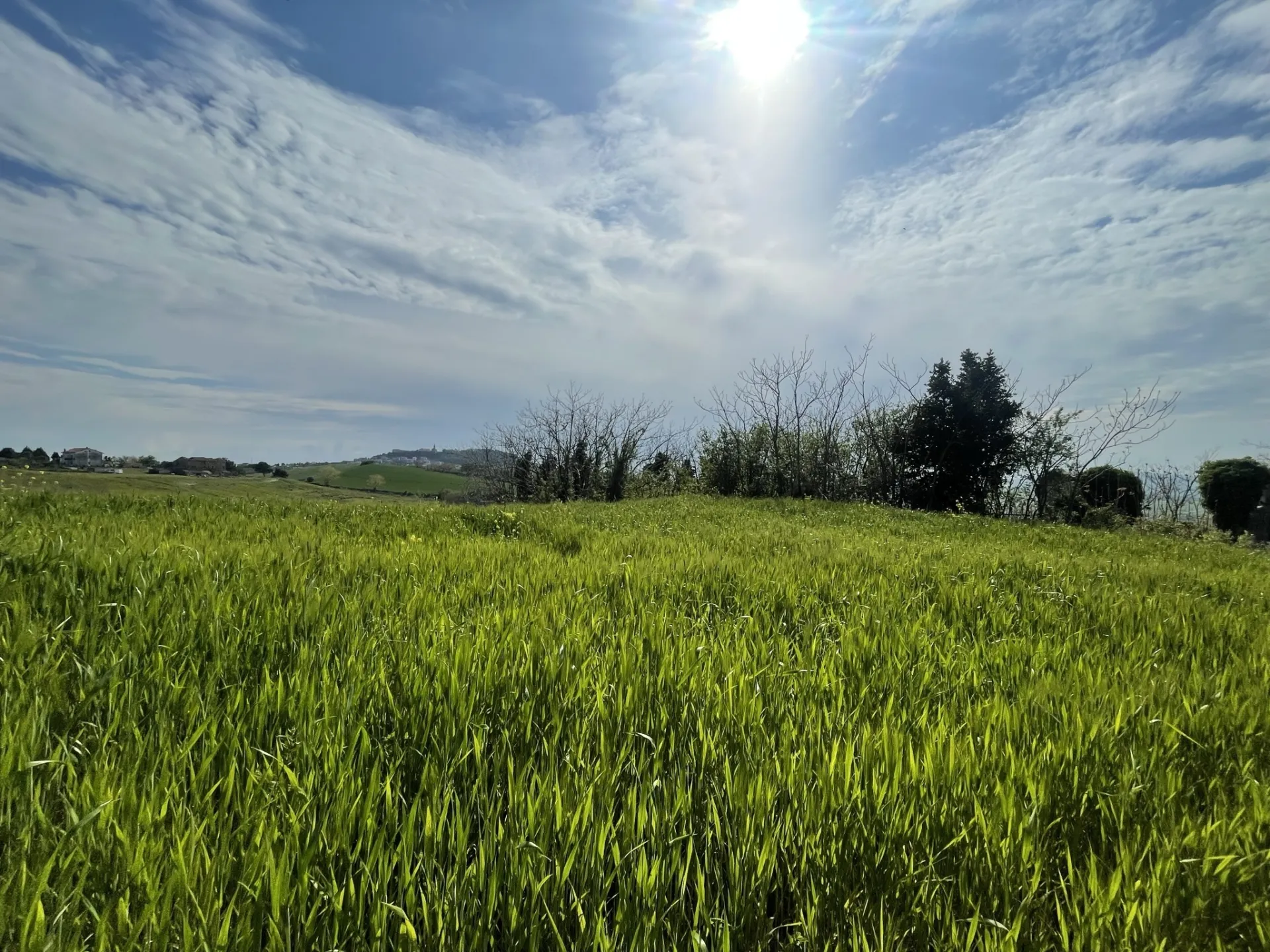 Immagine per Casale in vendita a Ancona via Frazione Poggio