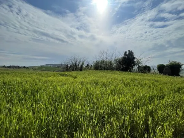 Casale via Frazione Poggio, Ancona