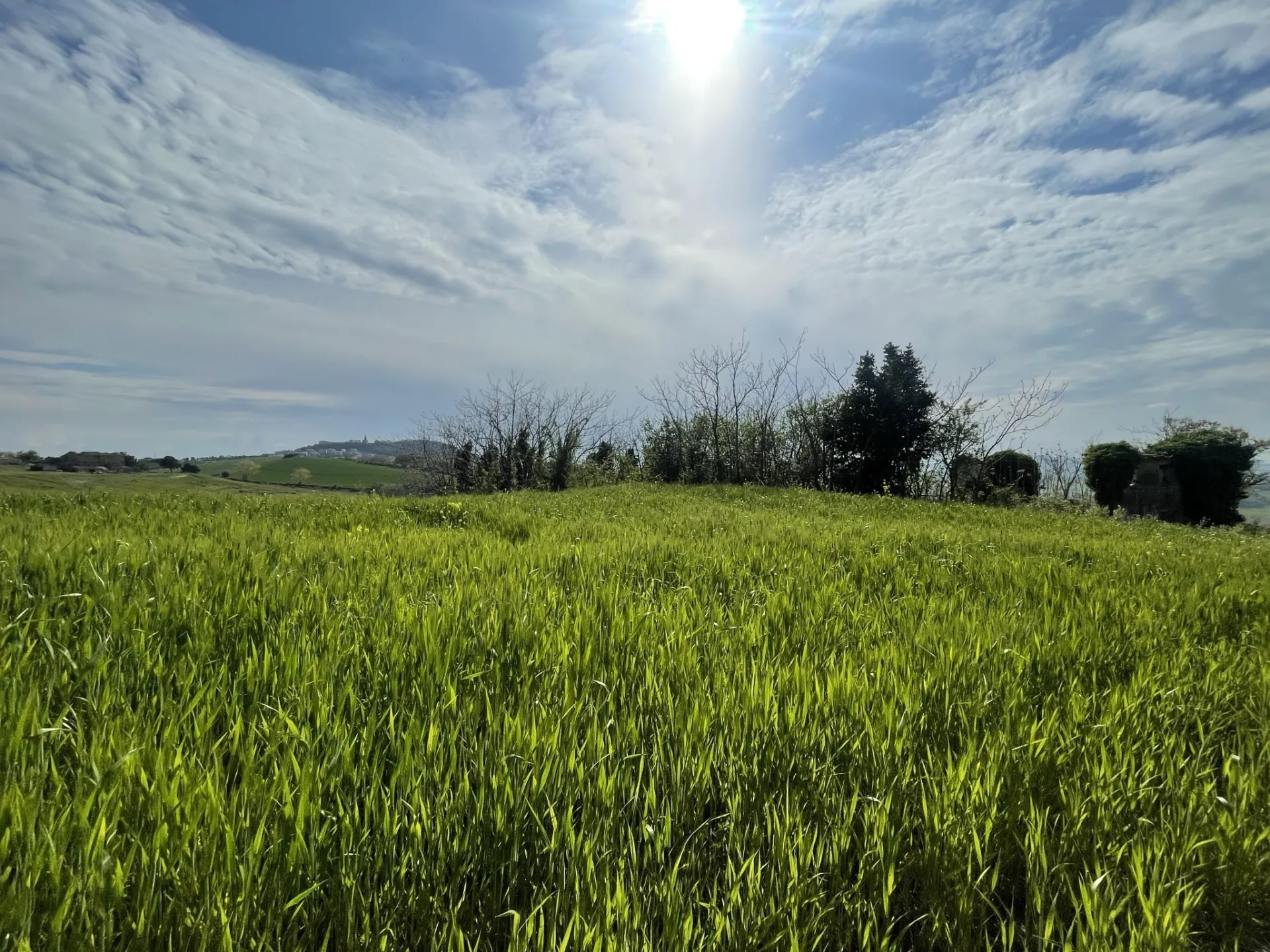 Immagine per Casale in vendita a Ancona via Frazione Poggio