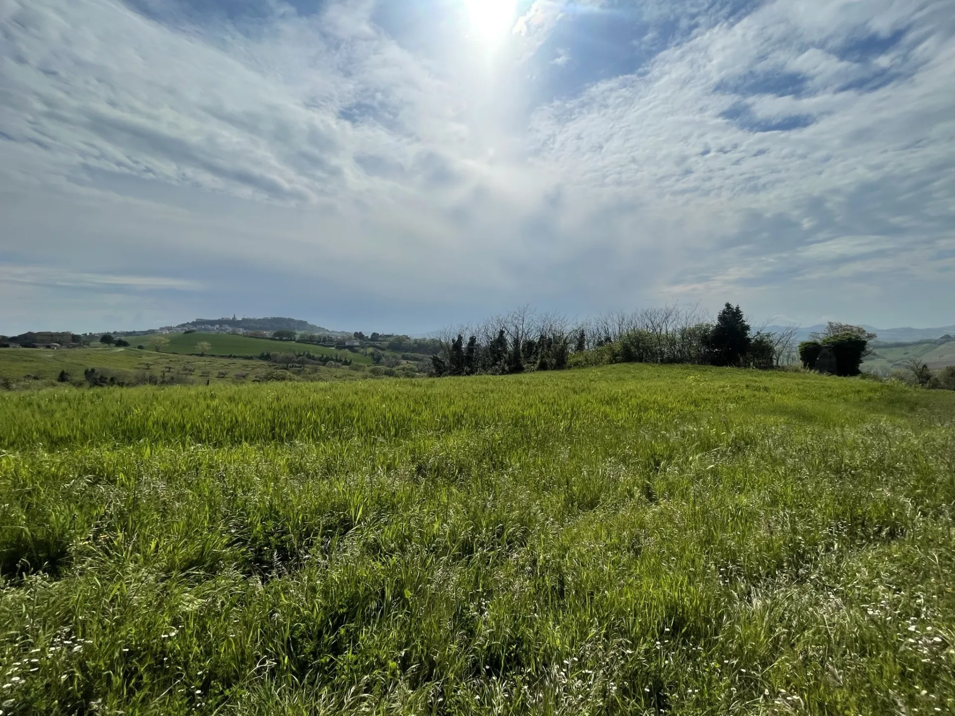 Immagine per Casale in vendita a Ancona via Frazione Poggio