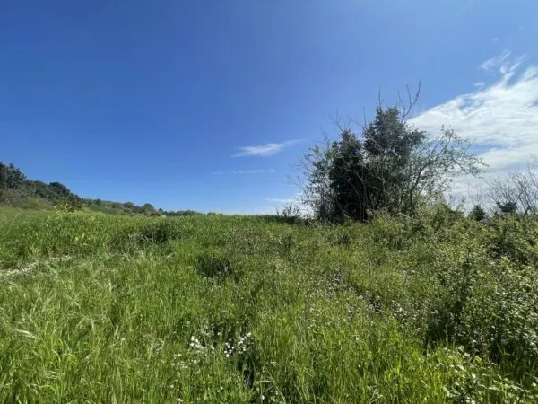 Casale via Frazione Poggio, Ancona