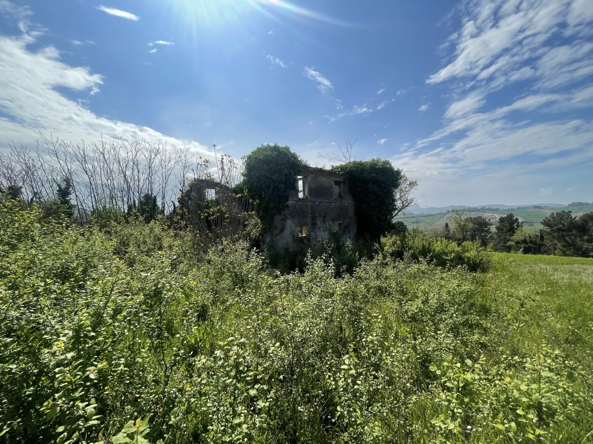 Immagine per Casale in vendita a Ancona via Frazione Poggio
