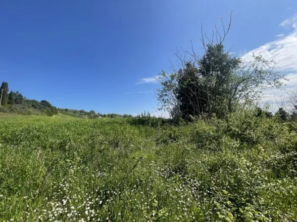 Casale via Frazione Poggio, Ancona