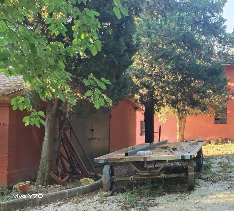 Immagine per Casale in vendita a Montecarotto via Contrada Fossato