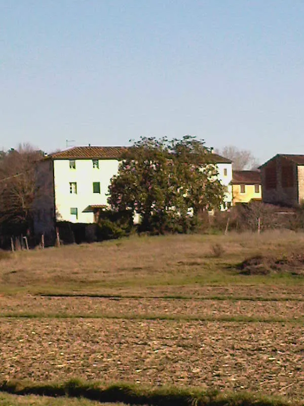 Immagine per Rustico in vendita a Lucca traversa V Via Della Pieve Santo Stefano