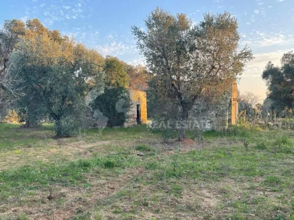 Agricolo via Contrada San Nicola 21, Carovigno