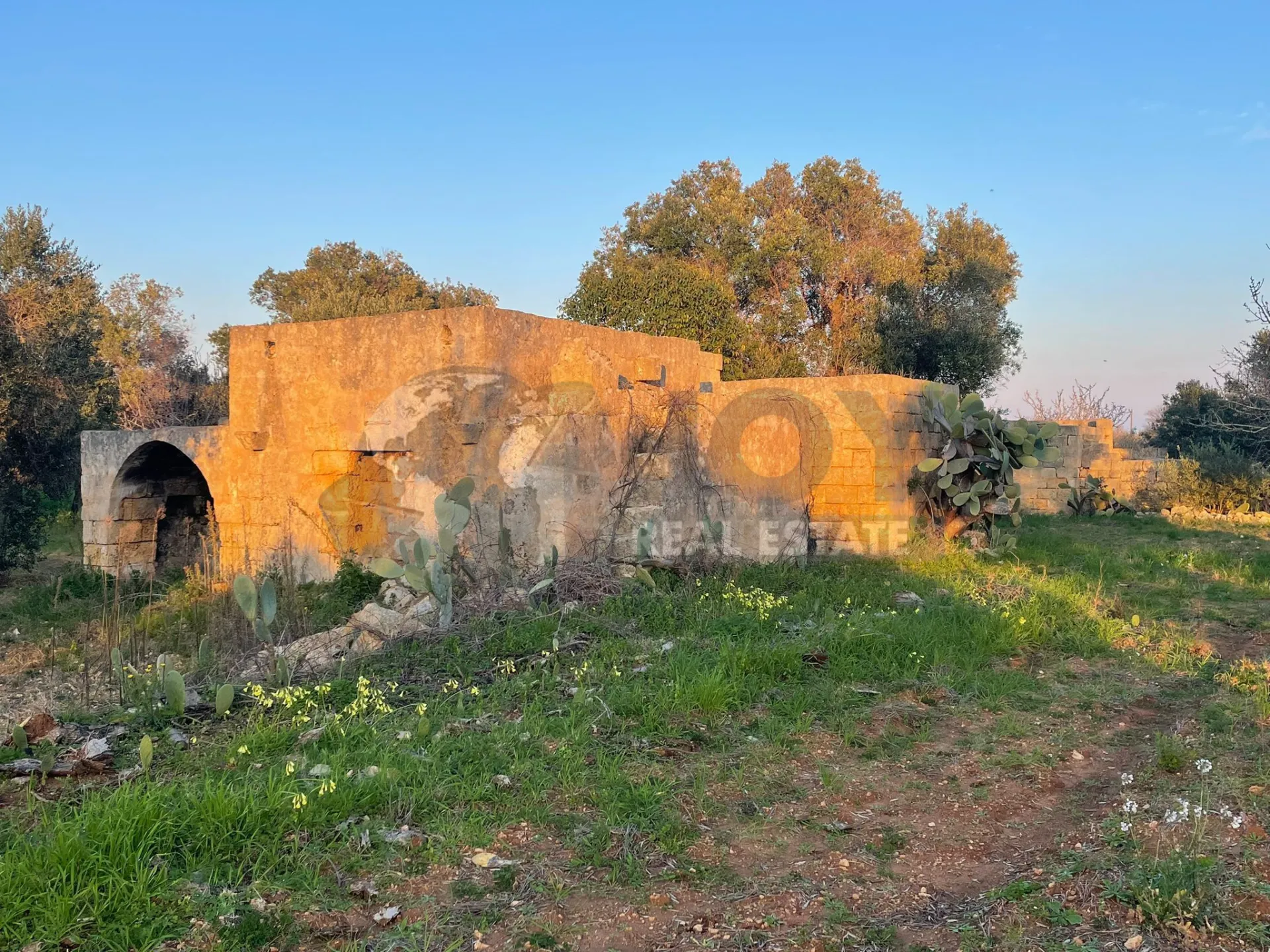 Immagine per Agricolo in vendita a Carovigno via Contrada San Nicola 21