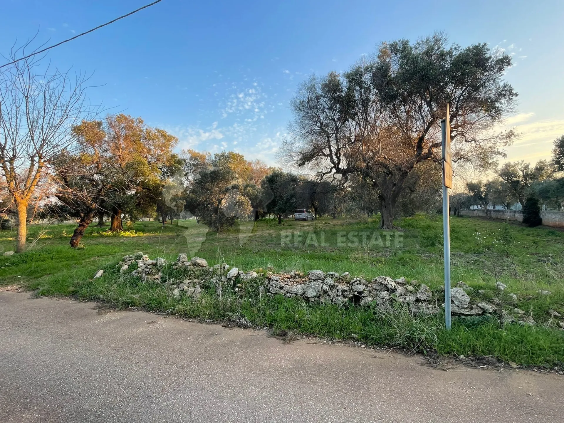 Immagine per Agricolo in vendita a Carovigno via Contrada San Nicola 21