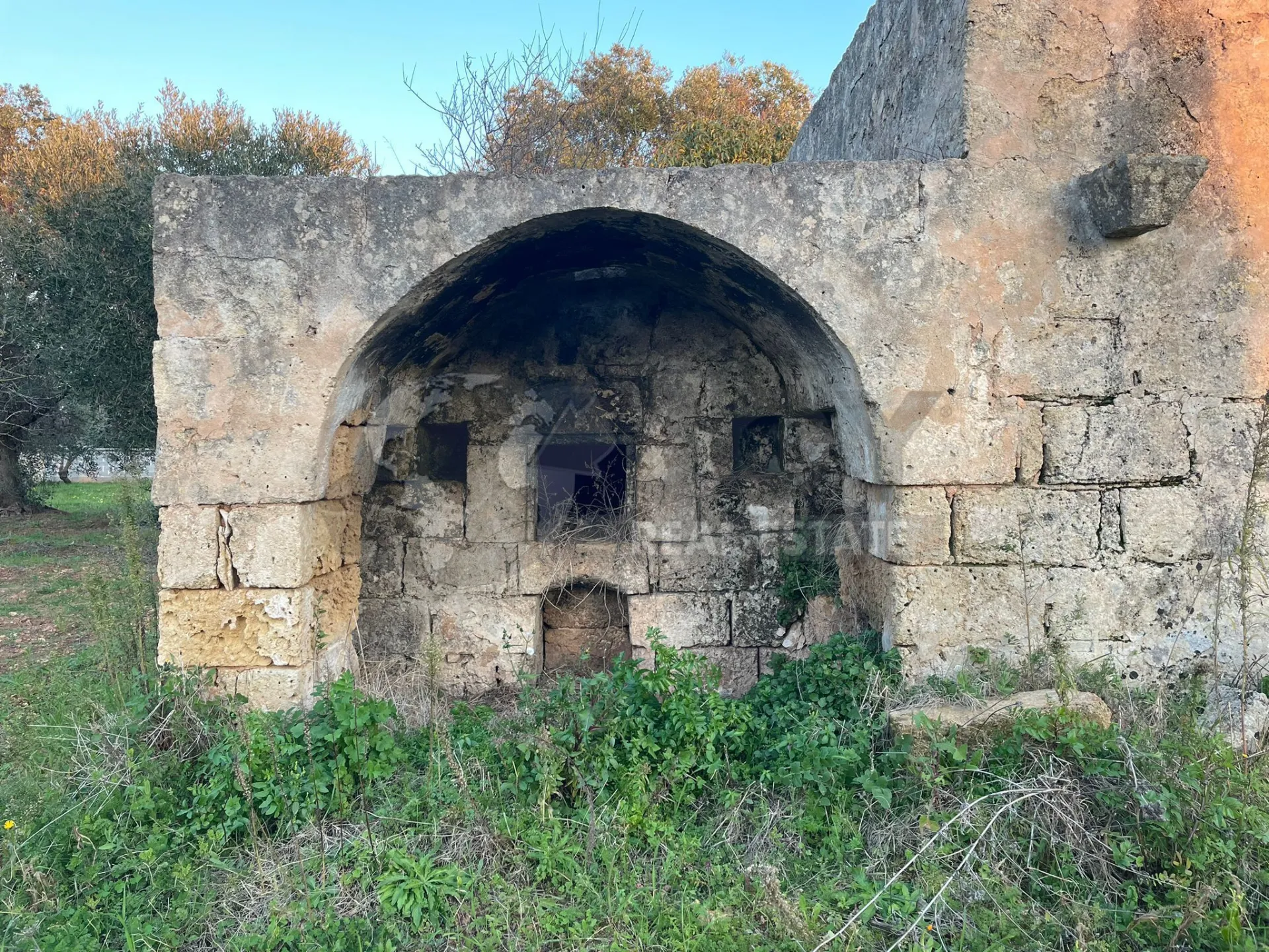 Immagine per Agricolo in vendita a Carovigno via Contrada San Nicola 21
