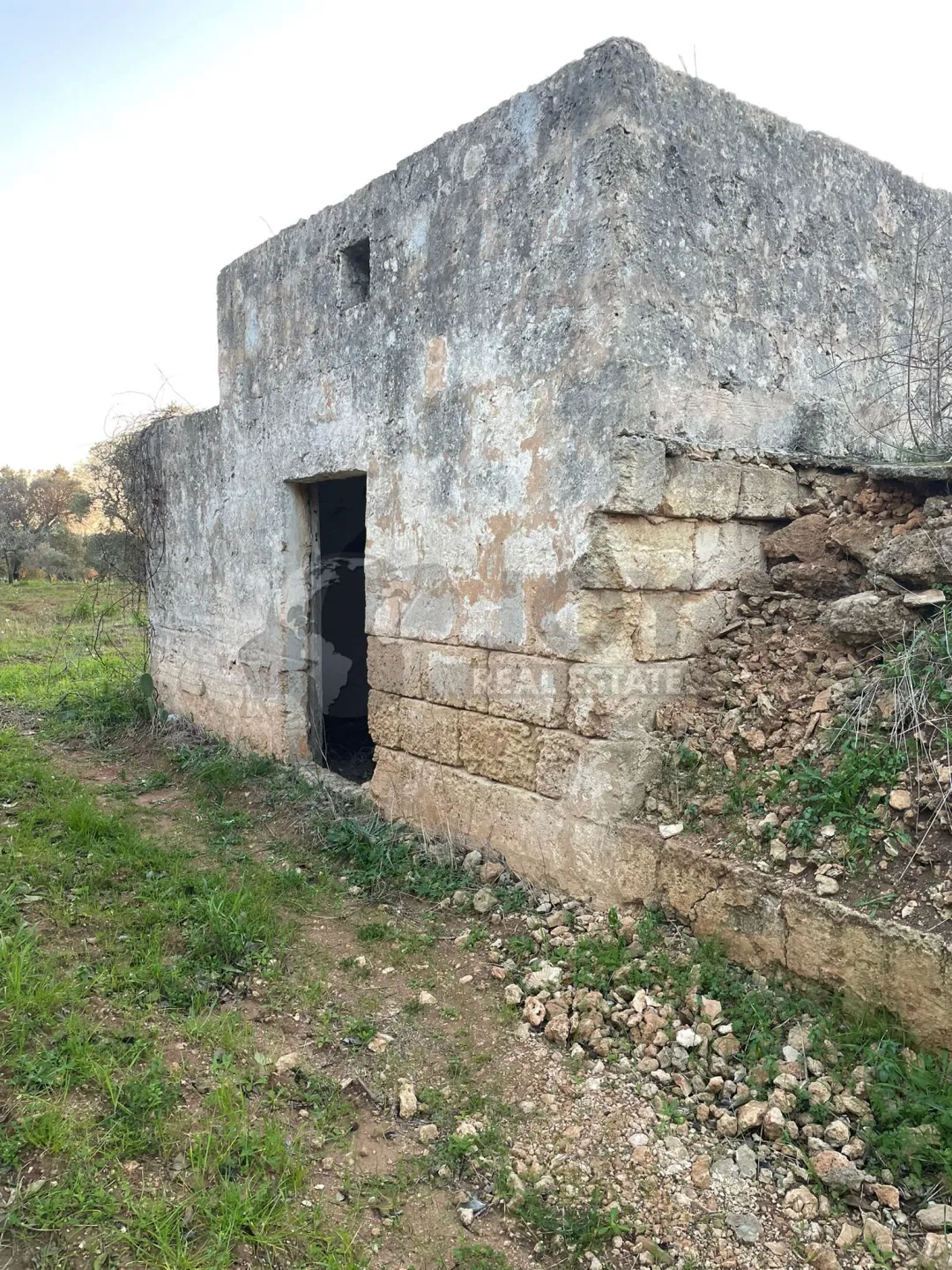 Immagine per Agricolo in vendita a Carovigno via Contrada San Nicola 21