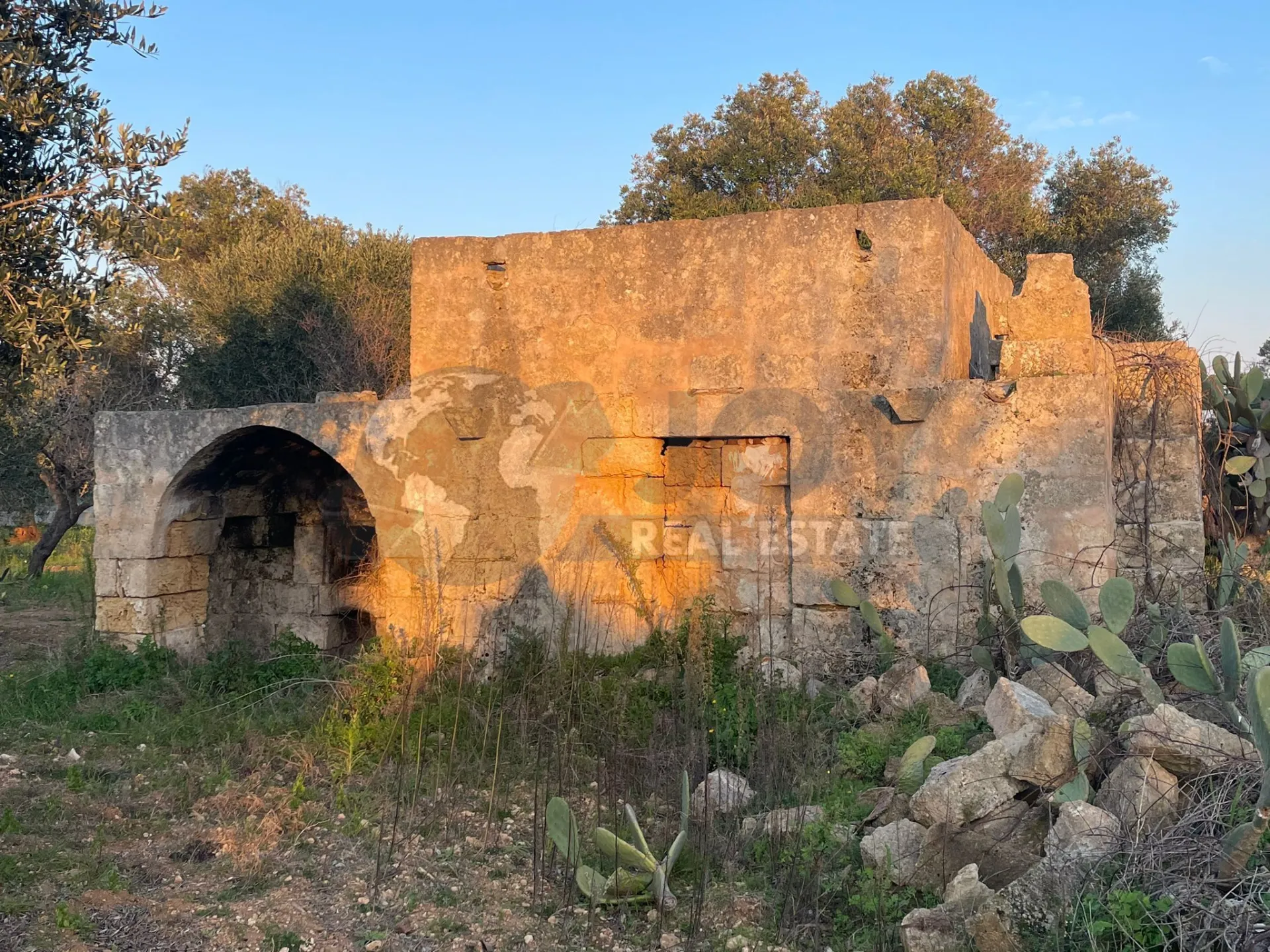 Immagine per Agricolo in vendita a Carovigno via Contrada San Nicola 21