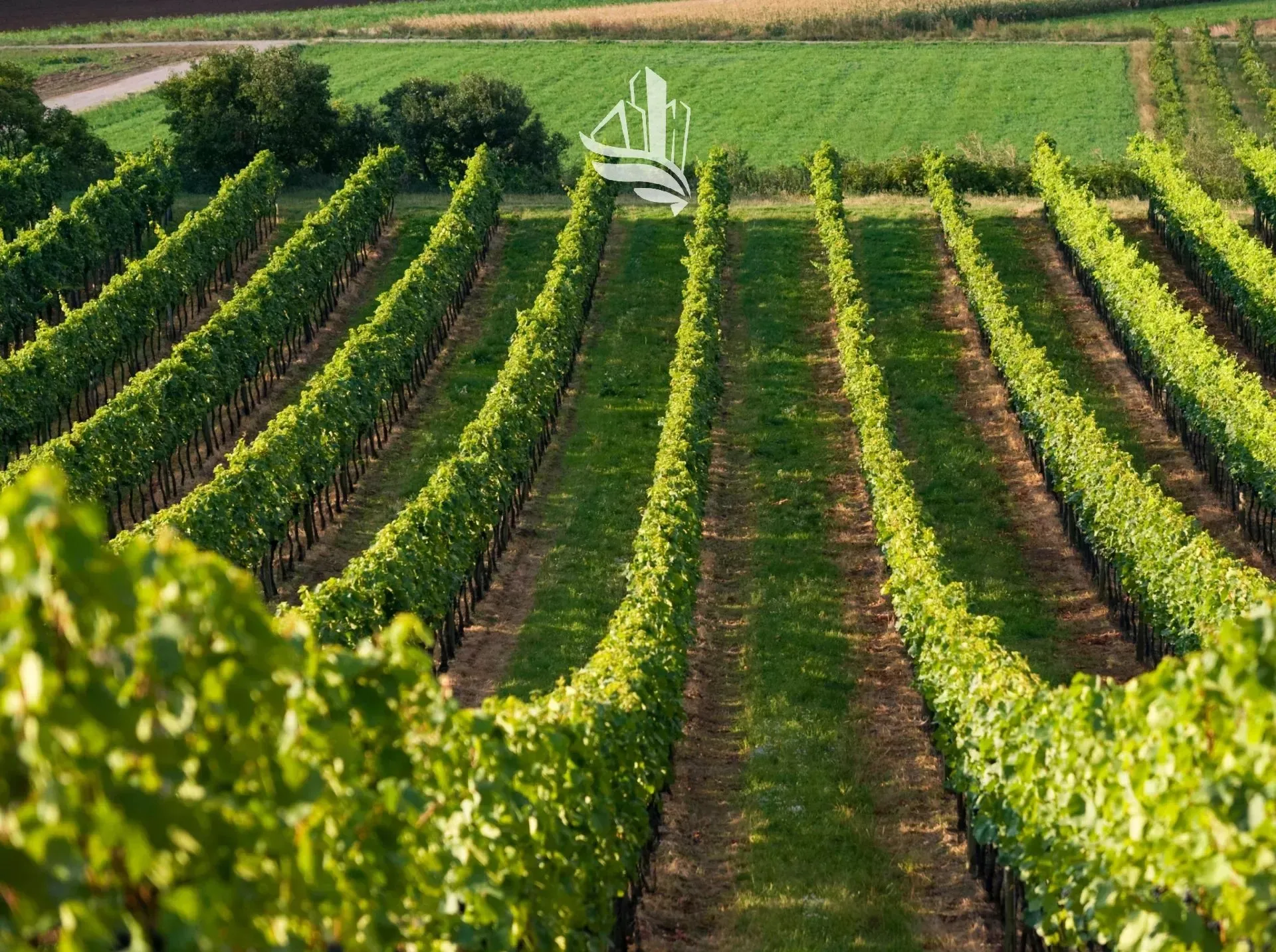 Immagine per Terreno agricolo in vendita a Bolzano via Sarentino