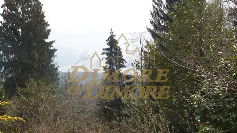 Immagine per Monolocale in vendita a Premeno via Pian Di Sole 15