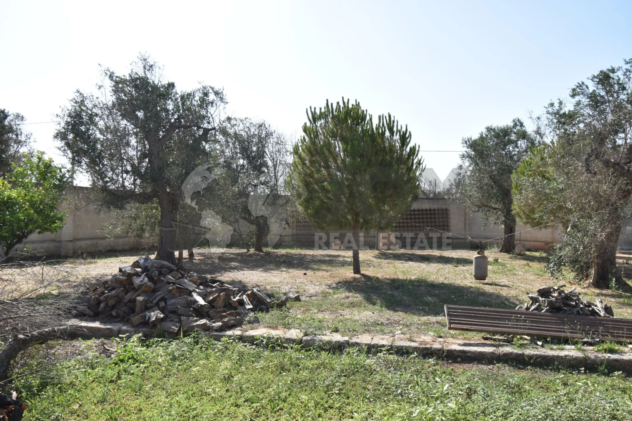 Immagine per Villa trifamiliare in vendita a Copertino via Bernardino Desa 14