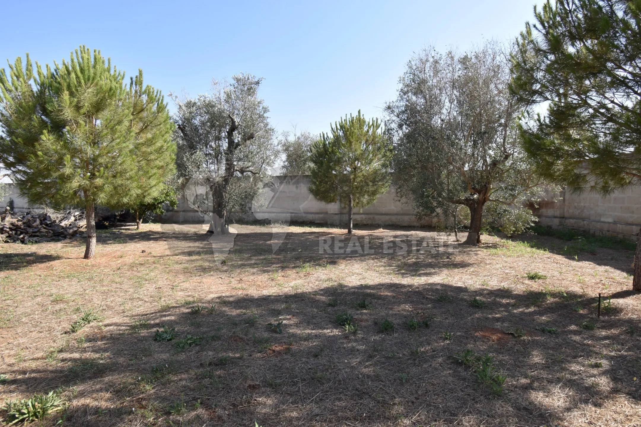 Immagine per Villa trifamiliare in vendita a Copertino via Bernardino Desa 14