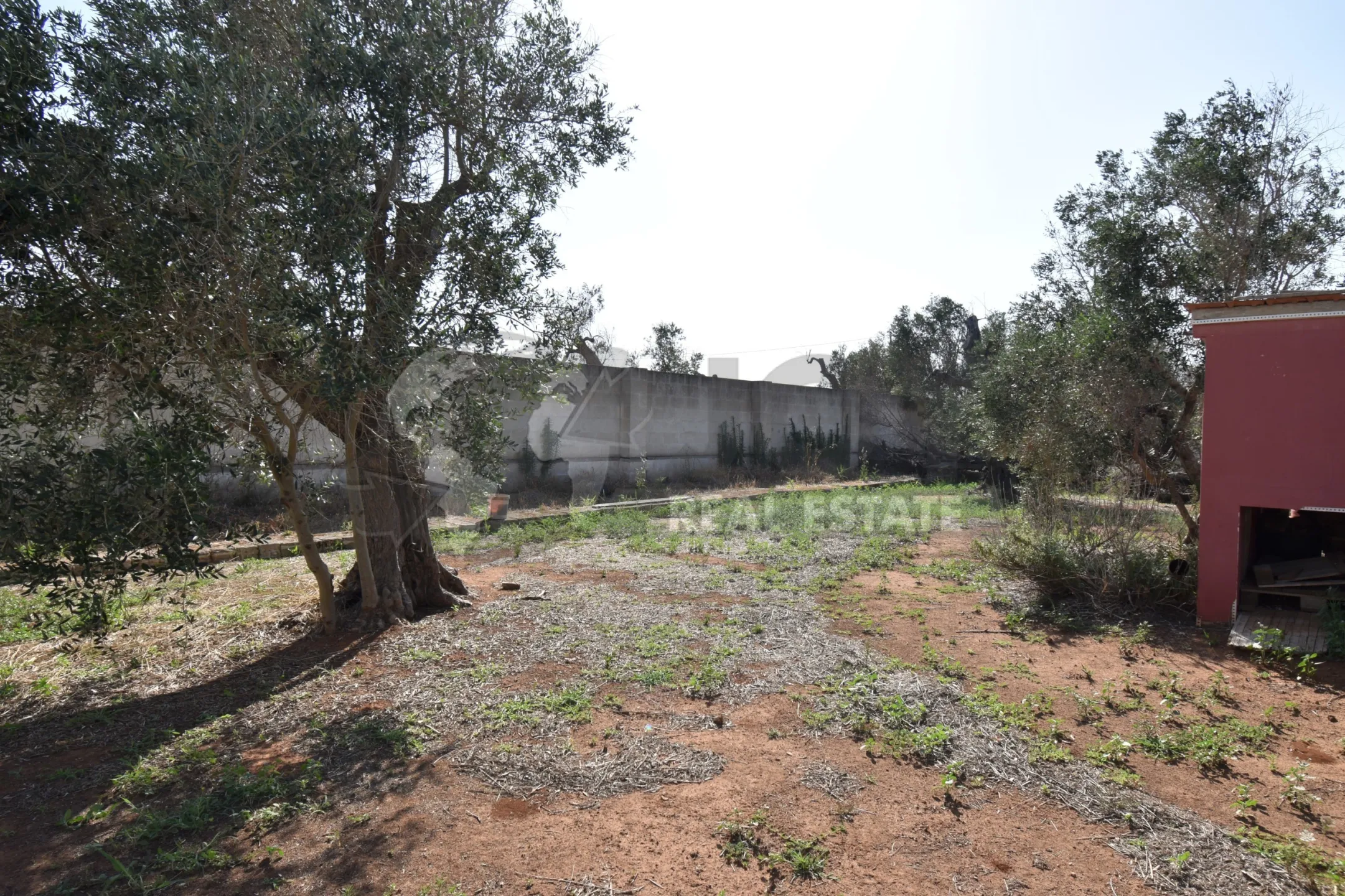 Immagine per Villa trifamiliare in vendita a Copertino via Bernardino Desa 14
