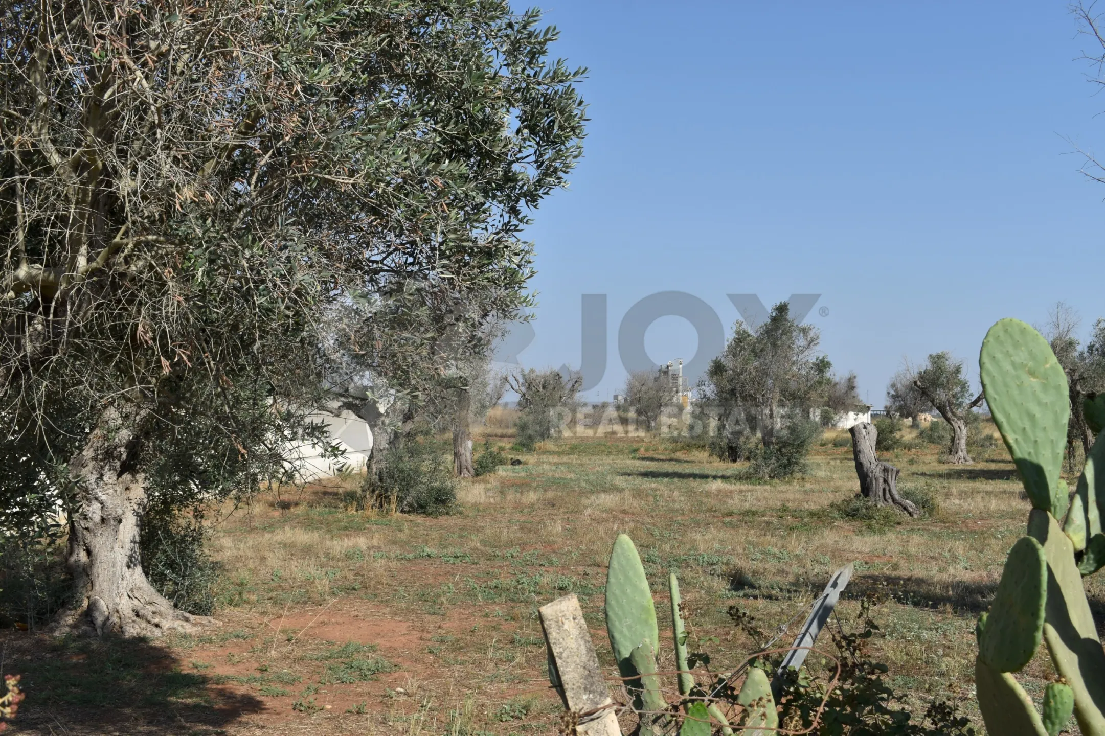 Immagine per Villa trifamiliare in vendita a Copertino via Bernardino Desa 14