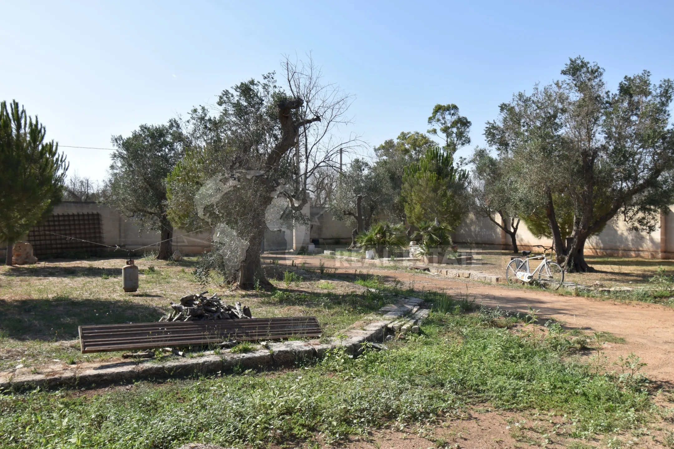 Immagine per Villa trifamiliare in vendita a Copertino via Bernardino Desa 14
