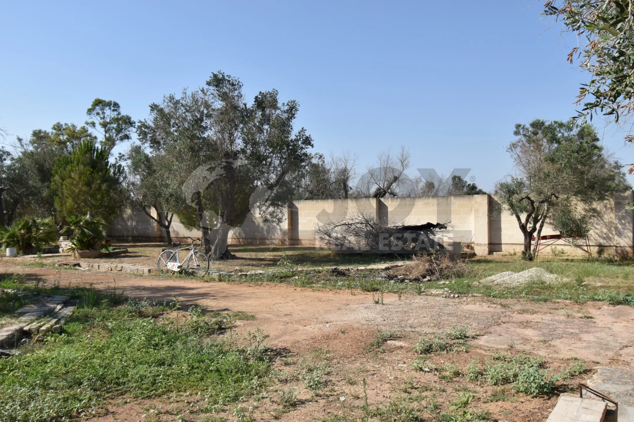 Immagine per Villa trifamiliare in vendita a Copertino via Bernardino Desa 14